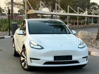 2022 Tesla MODEL Y 照片 5