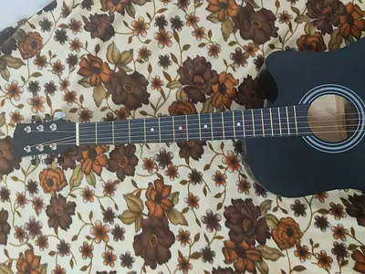 Guitar