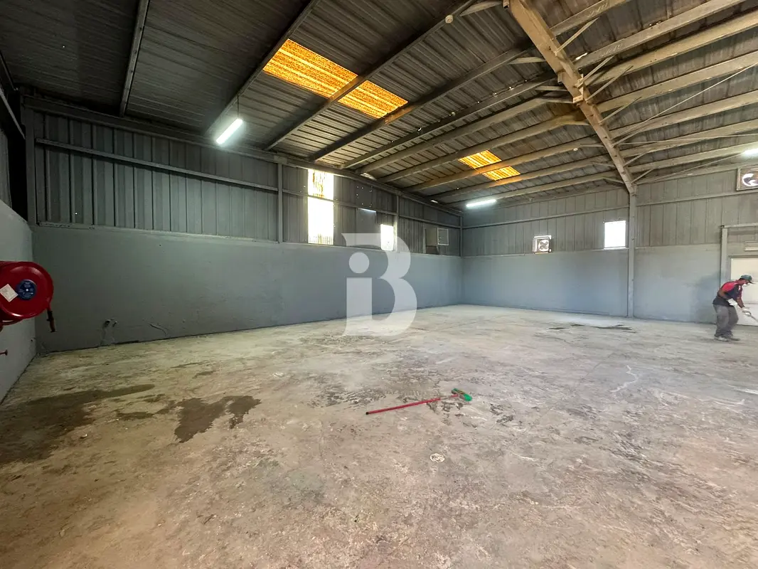 gallery-image