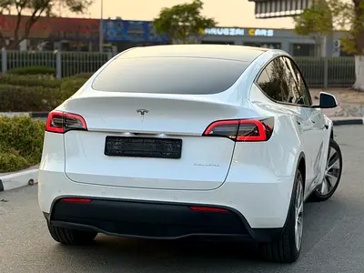 2022 Tesla MODEL Y 照片 9