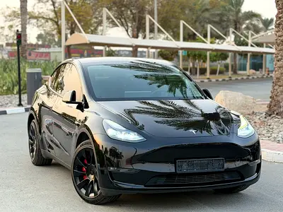 2022 Tesla MODEL Y — фото 5