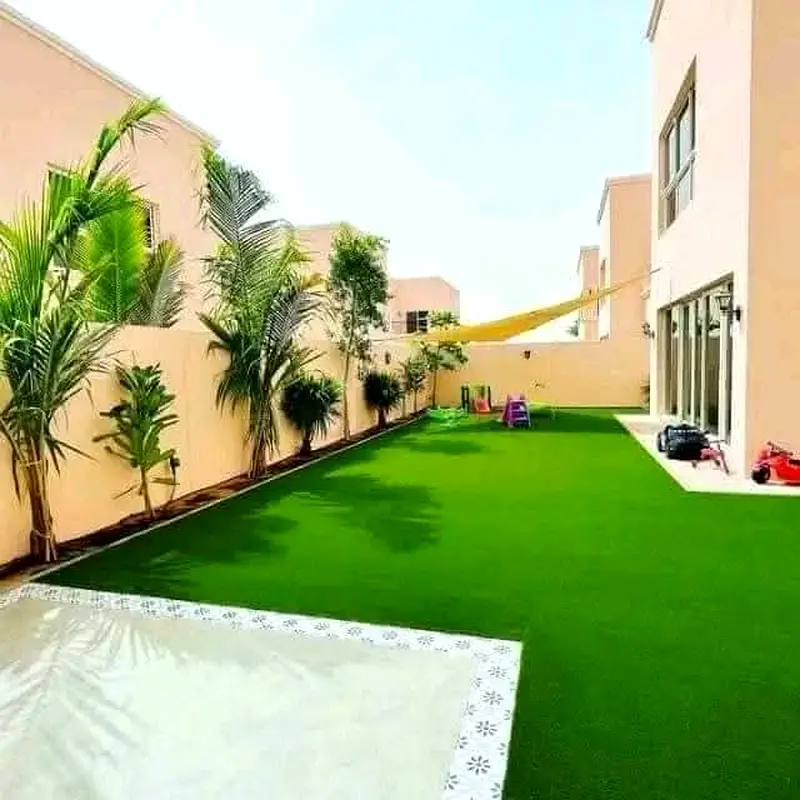 DPV_View_Image_7