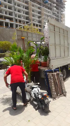 LOW COST FURNITURE MOVING PACKING DELIVERY LOCAL AND LONG DISTANCE 100) All DUBAI