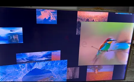 55-inch LED TV with vivid display - good working condition
