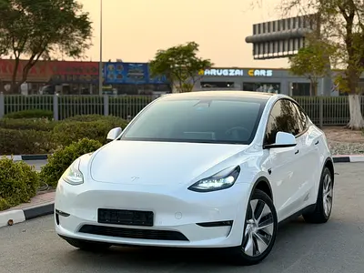 2022 Tesla MODEL Y 照片 2