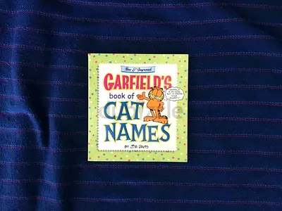 Garfield’s Book of Cat Names