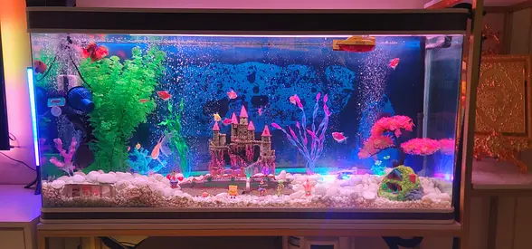 Aquarium