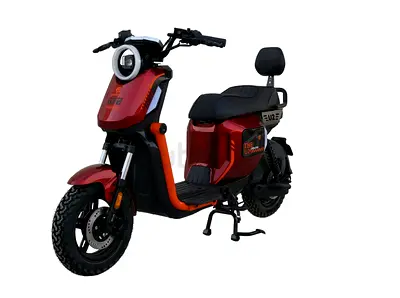 1000WATTS POWERFUL GROCERY BIKE