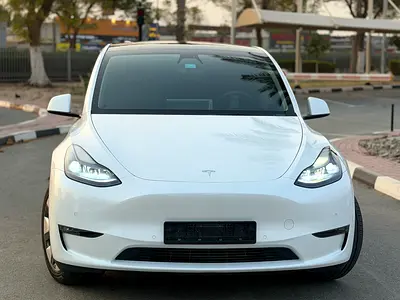 2022 Tesla MODEL Y 照片 6