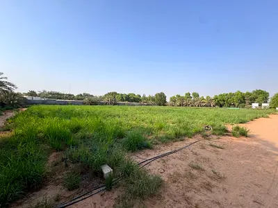 Ferme à Al Zubair – Sharjah Demi-ferme à louer, d'une superficie de 80 000 pieds carrés, idéalement située à proximité des commodités.