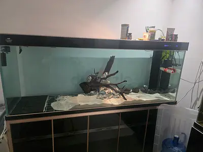 Monster aquarium for sale