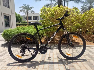 Giant Rincon 2 Mountain Bike