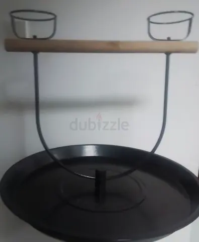 Parrot stand