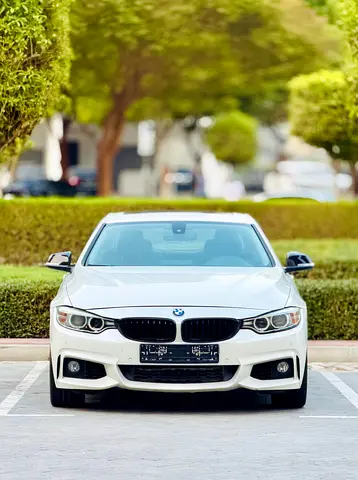 2015 BMW 4-SERIES 照片 2