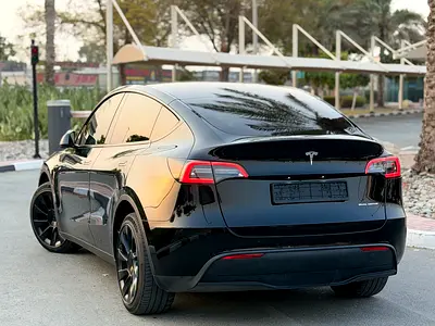 2022 Tesla MODEL Y — миниатюра 11