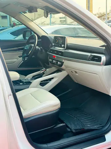 صورة 15 لـ 2020 KIA TELLURIDE