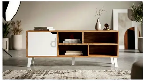 TV unit