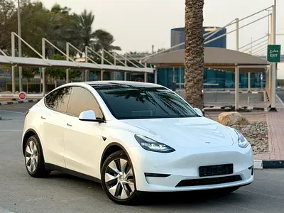 2022 Tesla MODEL Y 照片 4