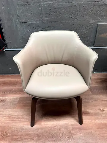 Modern Designer Accent Chair