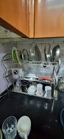 Stainless Steel 2-Tier Dish Rack with Cutlery Holder