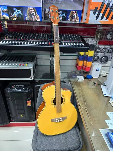 Semi-Acoustic four string bass guitar