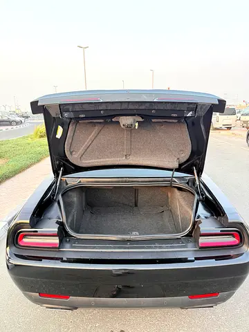 صورة 19 لـ 2023 Dodge CHALLENGER
