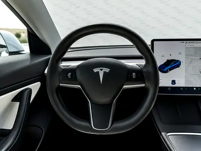 2021 Tesla MODEL 3 — миниатюра 14