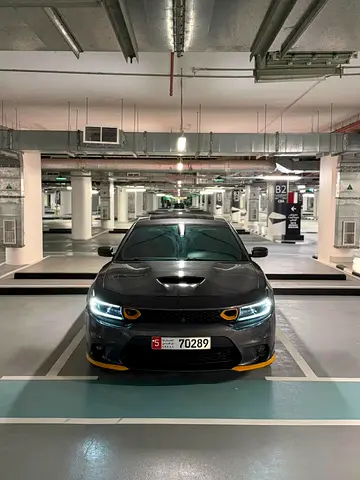 2020 Dodge CHARGER 照片 12