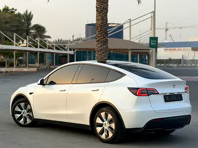 2022 Tesla MODEL Y 照片 10