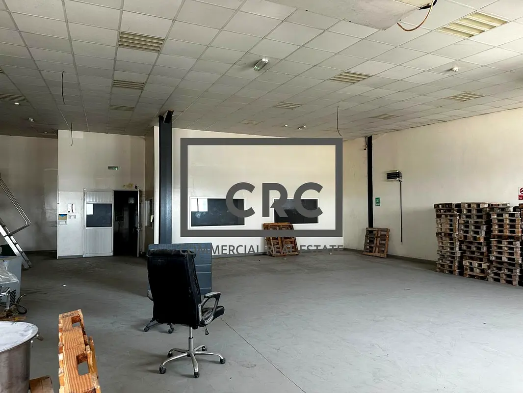 gallery-image