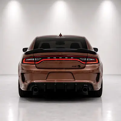 2017 Dodge CHARGER 照片 20