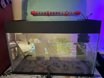 Glass Terrarium / 2 Aquarium Tank 60 cm long tank -excellent Condition