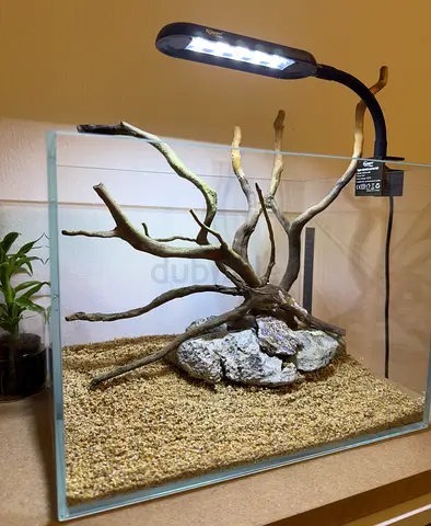 Aquarium