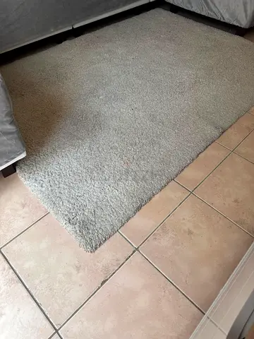 Rug - good condition
