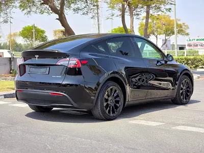 2022 Tesla MODEL Y 缩略图 13