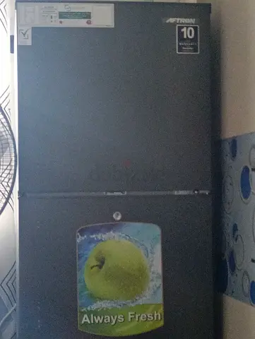Fridge