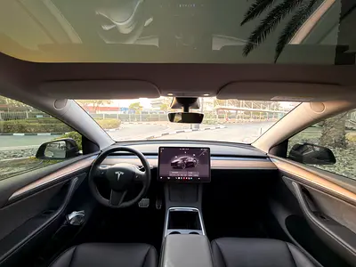 2022 Tesla MODEL Y — миниатюра 17