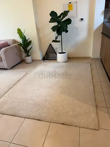 Beige carpet for sale