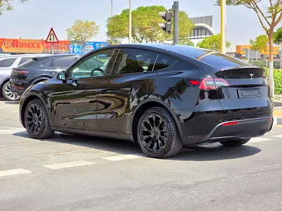 2022 Tesla MODEL Y 缩略图 15