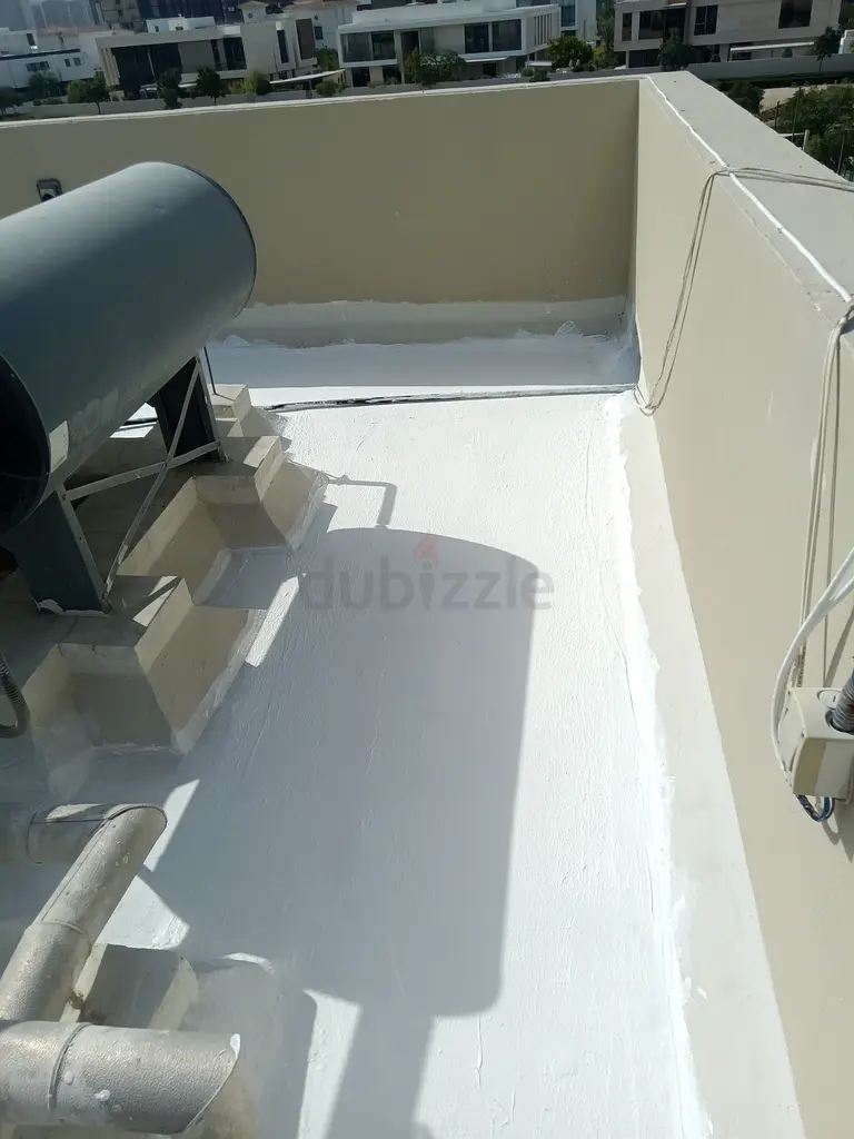DPV_View_Image_2
