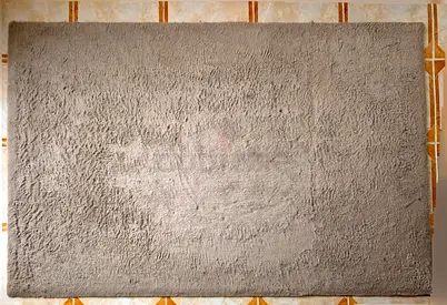 FOR SALE: Large Soft Shaggy Area Rug / Carpet – Neutral Beige/Taupe