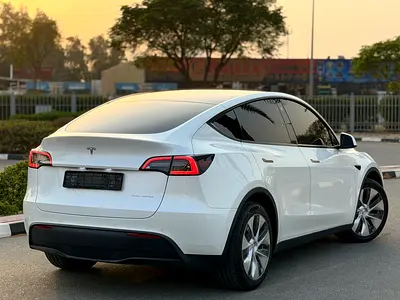 2022 Tesla MODEL Y 照片 8