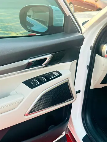 صورة 9 لـ 2020 KIA TELLURIDE