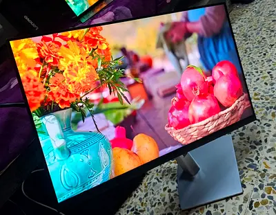 With Type C Port + RJ 45 Connection 24inc Dell FHD LED Monitor Fresh Condition Model No P2422HE