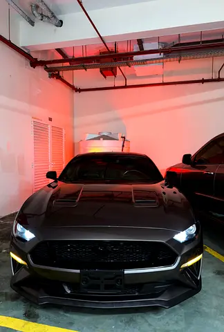 2023 FORD MUSTANG 照片 2