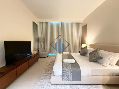 Luxurious Studio - Fully Furnished - Ready To Move In