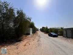 Farm for annual rent in Al Zubair, Sharjah, ready for cultivation