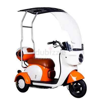 48 v electric Scooter with Rooftop