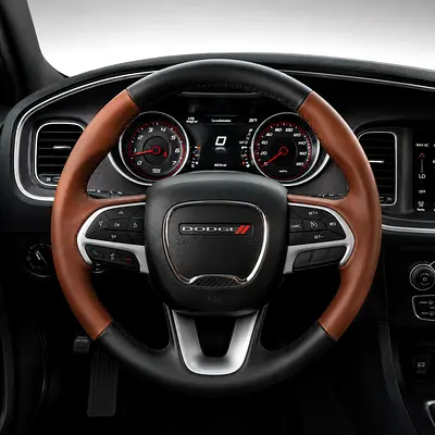 2017 Dodge CHARGER 照片 13