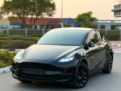 2022 Tesla MODEL Y — фото 2